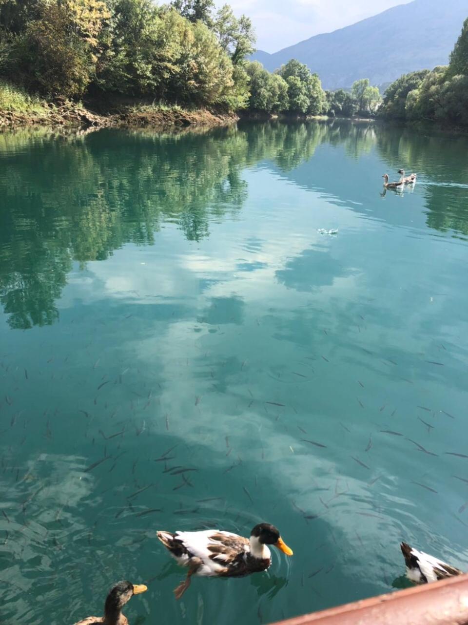 Splav "Slap" - Bungalovi Danilovgrad Kültér fotó